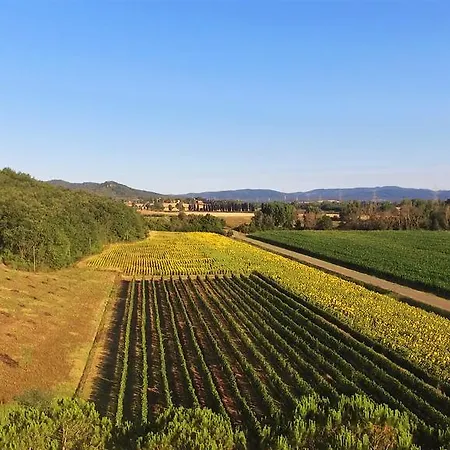 Podere Mulinaccio Ribolla