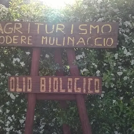Podere Mulinaccio Ribolla