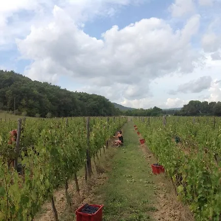 Alloggio per agriturismo Podere Mulinaccio Ribolla