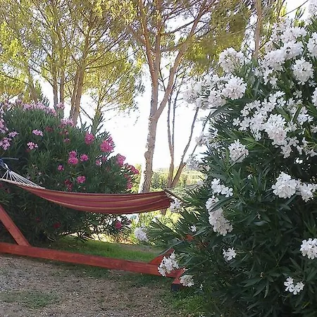 Alloggio per agriturismo Podere Mulinaccio *