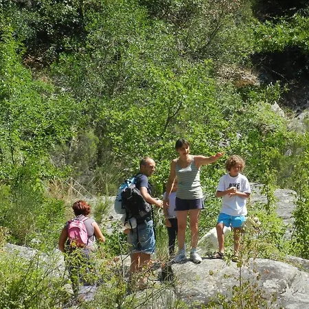 Alloggio per agriturismo Podere Mulinaccio Ribolla